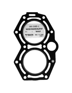 RTZ137 EMPAQUETADURA CULATA