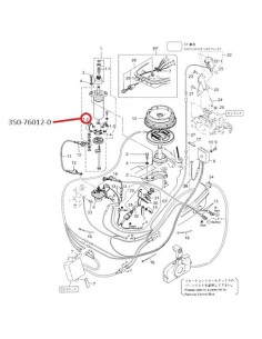 RTF46 CARBON POSITIVO