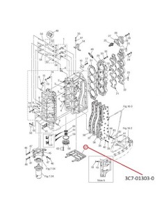 RTF21 EMPAQUETADURA MOTOR