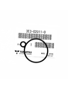 RTE13 REPUES.CARBURADOR