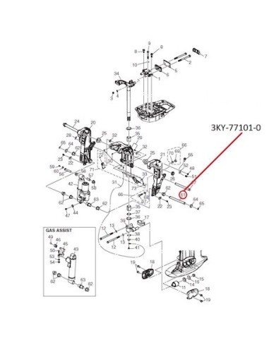 RTZ81 PIN