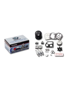 RTZ296 KIT MANTENCION MOTOR MFS40/50A HP