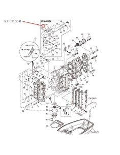 RTU96 VALVULA DE RETENCION