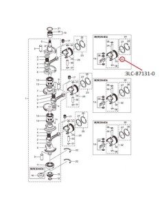 RTV81 KIT REPARACION PISTON 0.5 MX50