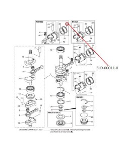 RTW19 ANILLO DE PISTON