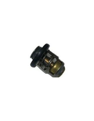 RTZ108 TERMOSTATO