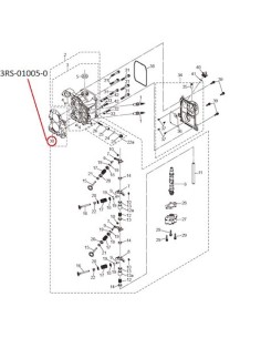 RTZ202 EMPAQUETADURA CULATA