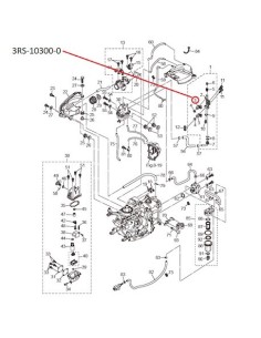 RTZ221 INYECTOR BENCINA