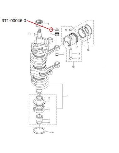 RTR13 GOLILLA