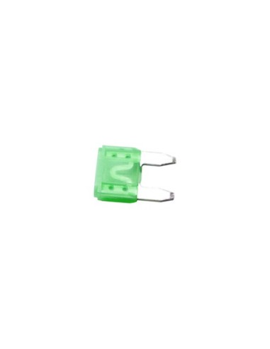RTJ38 FUSIBLE 30A