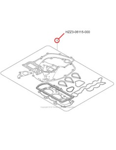RTY84  KIT EMPAQUETADURA (BF60)