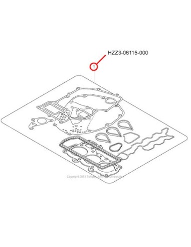 RTY84  KIT EMPAQUETADURA (BF60)