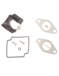 Kit reparación Carburador (8M0090764)
