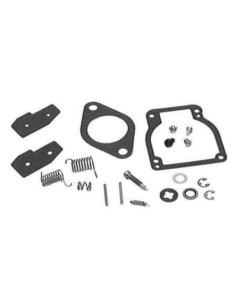 Kit reparación carburador (8236354)
