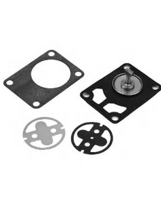 Kit reparación bomba bencina 8-9.9hp 4t (851812A01)