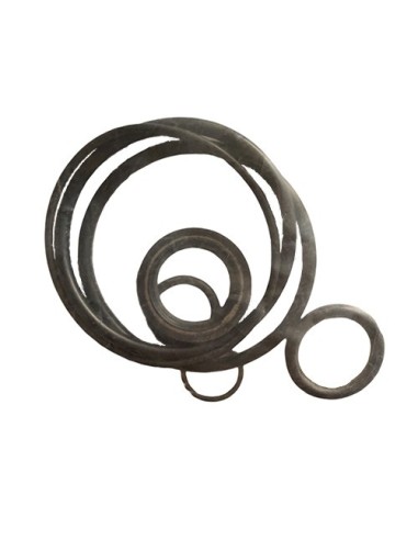 Kit reparacion Orings (811607A1)