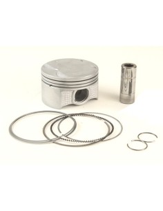 Pistón Std 115HP (898472T01)