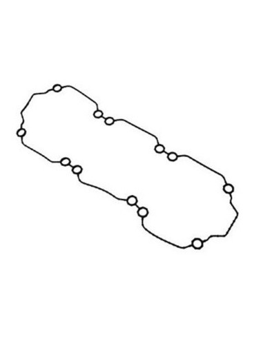 Oring sello empaquetadura