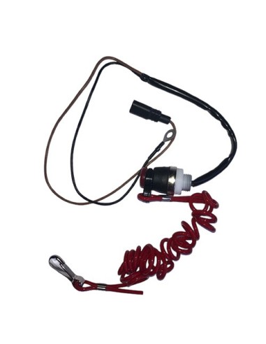 Switch seguridad botón y cordón 2.5hp