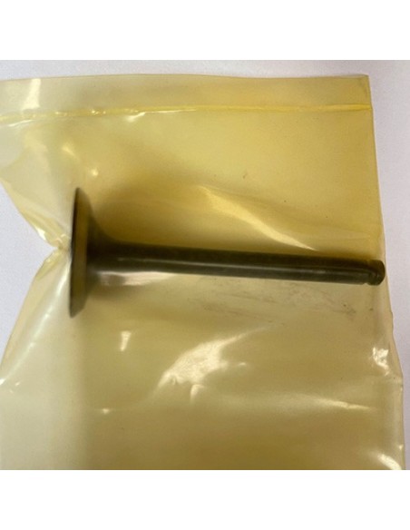 Válvula Admisión 4-5-6hp 4t