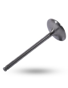 RTZ781 VALVULA ADMISION