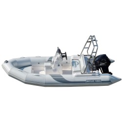 BOTE SKUA 490 A