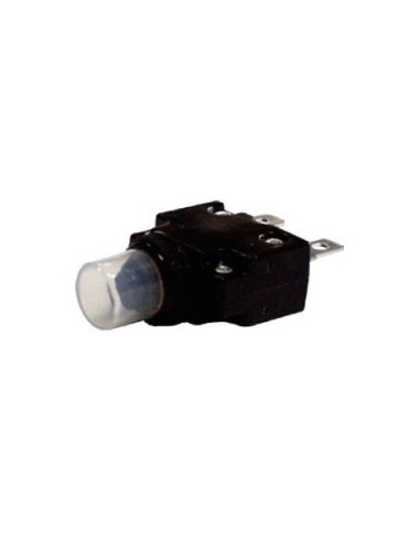 FUSIBLE TERMICO 10A (31395)